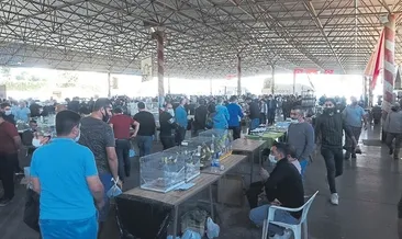 6 bin kanarya görücüye çıktı