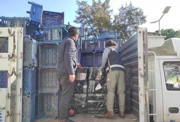 Meyve-sebze kasası taşıyan kamyondan 17 bin 450 paket kaçak sigara çıktı