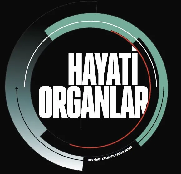 Hayati organlarımız - Beyin
