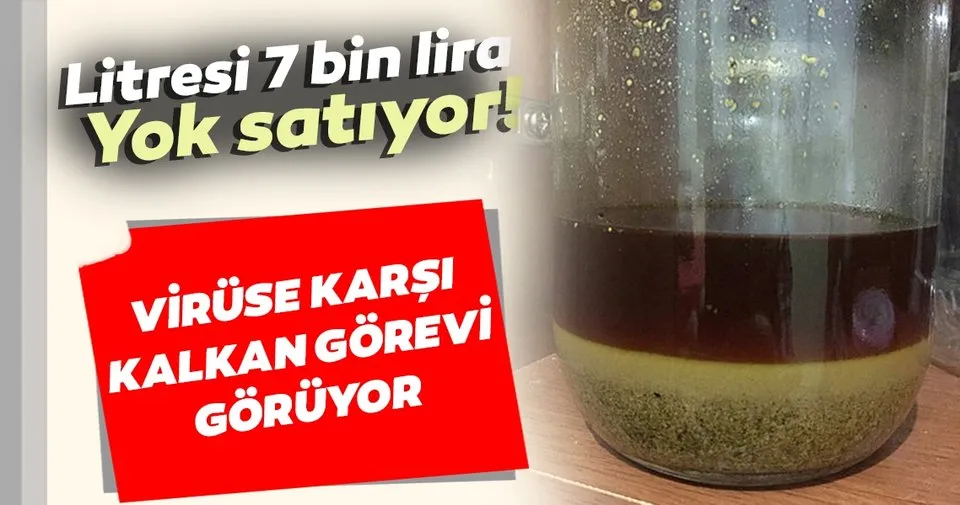 Propolis Nedir Nasil Kullanilir Iste Litresi 7 Bin Liraya Satilan Propolisin Mucizevi Faydalari Saglik Haberleri