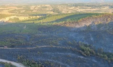 Soma’daki yangının boyutlar ortaya çıktı