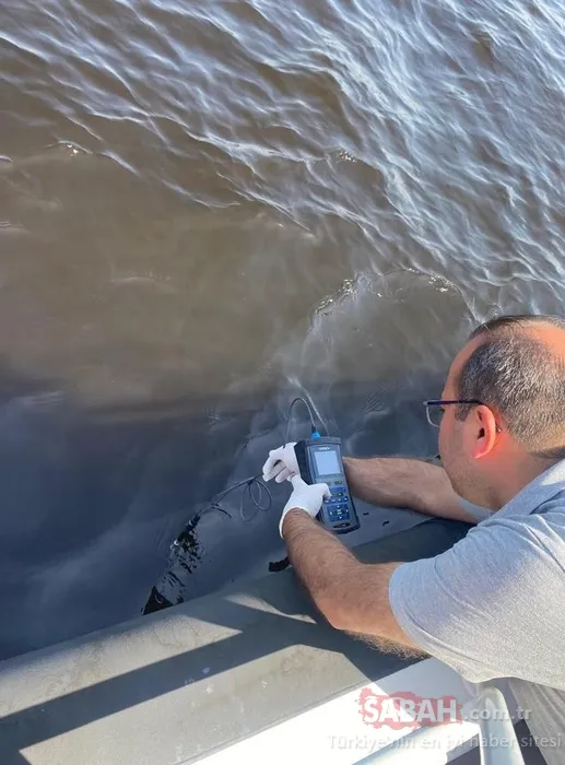 İzmir Körfezi’ndeki balık ölümleri ve kirliliği önlemek için önemli çalışma: Bilim Kurulu üyeleri önerilerini anlattı