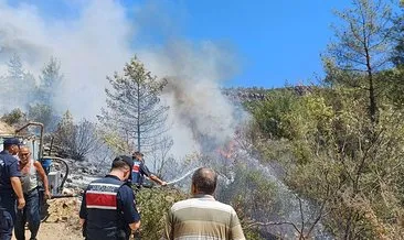 Mersin’de orman yangını