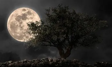Ay tutulması ne zaman, saat kaçta ve nasıl izlenir? Ay tutulması burçları nasıl etkileyecek?