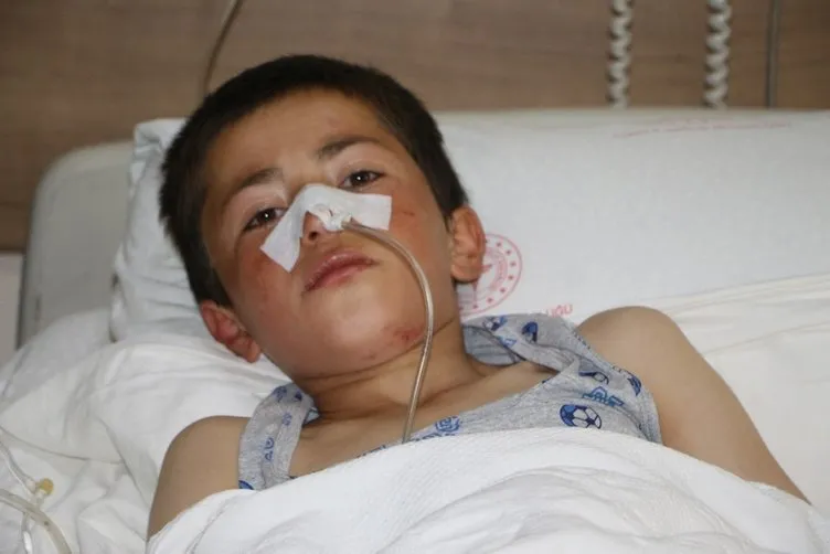 O ilimizde ayı dehşeti: 11 yaşındaki çocuğun ameliyatı 3 saat sürdü!
