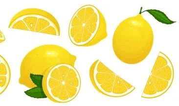 limon nedir faydalari nelerdir haberleri son dakika limon nedir faydalari nelerdir gelismeleri