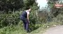 Kaplumbağaya jandarma şefkati | Video