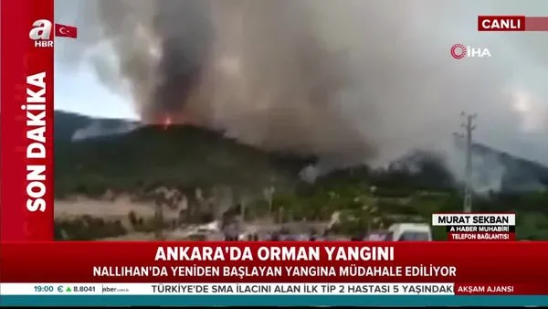 Son dakika! Ankara'da orman yangını | Video