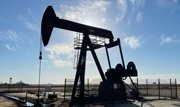 Enerjide kamulaştırma kararı
