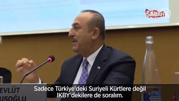Dışişleri Bakanı Çavuşoğlu, AP üyesine dersini verdi