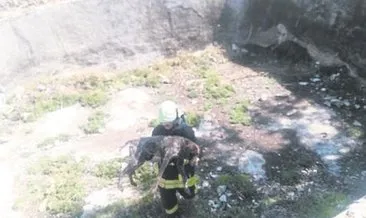 Kuyuya düşen köpek kurtarıldı