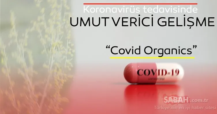 CORONA VİRÜSÜ SON DAKİKA HABERİ: Bitkisel Covid-19 ilacı piyasaya çıkacak! Covid Organics nedir?