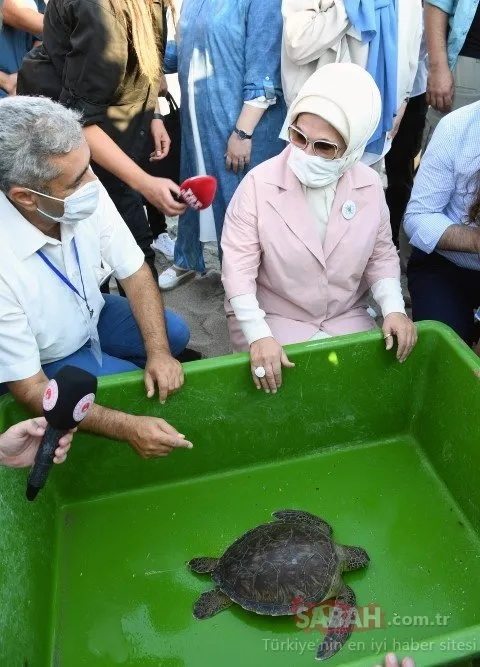 Deniz kaplumbağaları Patara, Likya ve Belkıs, türlerinin geleceğine de hizmet edecek
