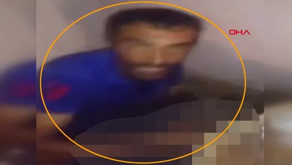 Son dakika haberi... Adana'da vahşet! Kedileri işkence yaparak öldüren cani kamerada | Video