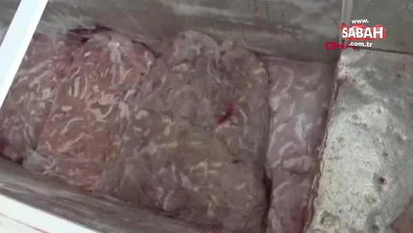 Elazığ'da, depoda 800 kilo bozuk et ele geçirildi | Video