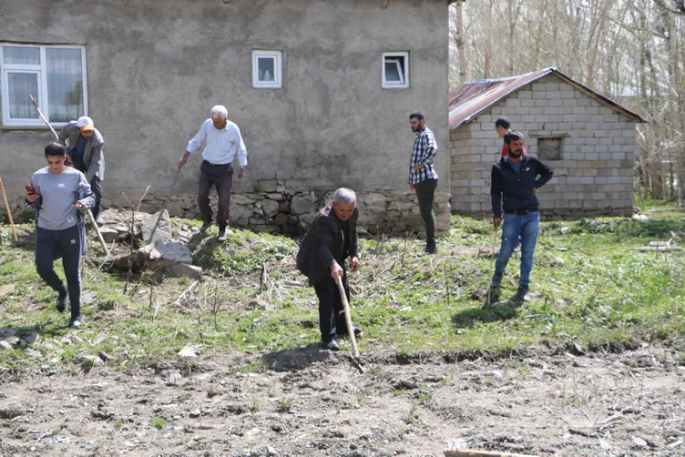 Hakkari'deki o evden 20 yılan daha çıktı...