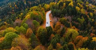 ’Türkiye İklime Dirençli Ormanlar Projesi’ hayata geçirildi