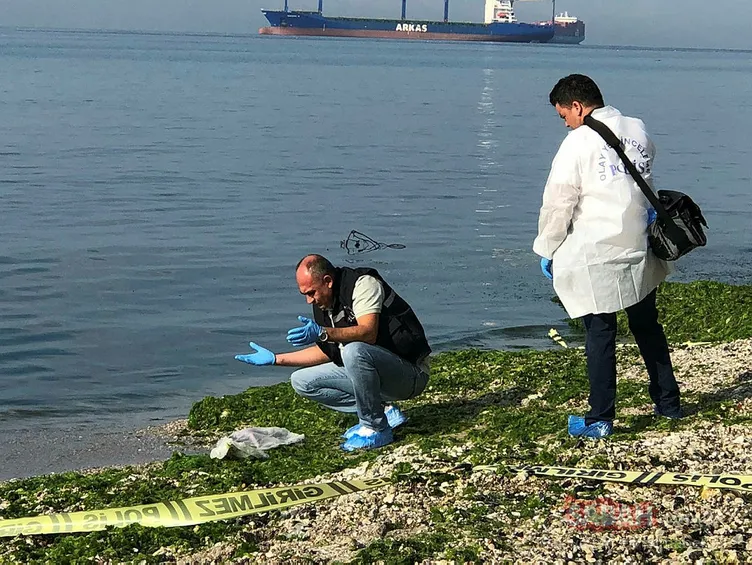 Son Dakika Beylikdüzü’nde kıyıya vuran ceset herkesi şoke Son Dakika Beylikdüzü’nde kıyıya vuran ceset herkesi şoke