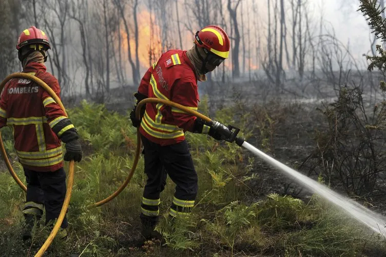 Portekiz’de orman yangını: 62 ölü