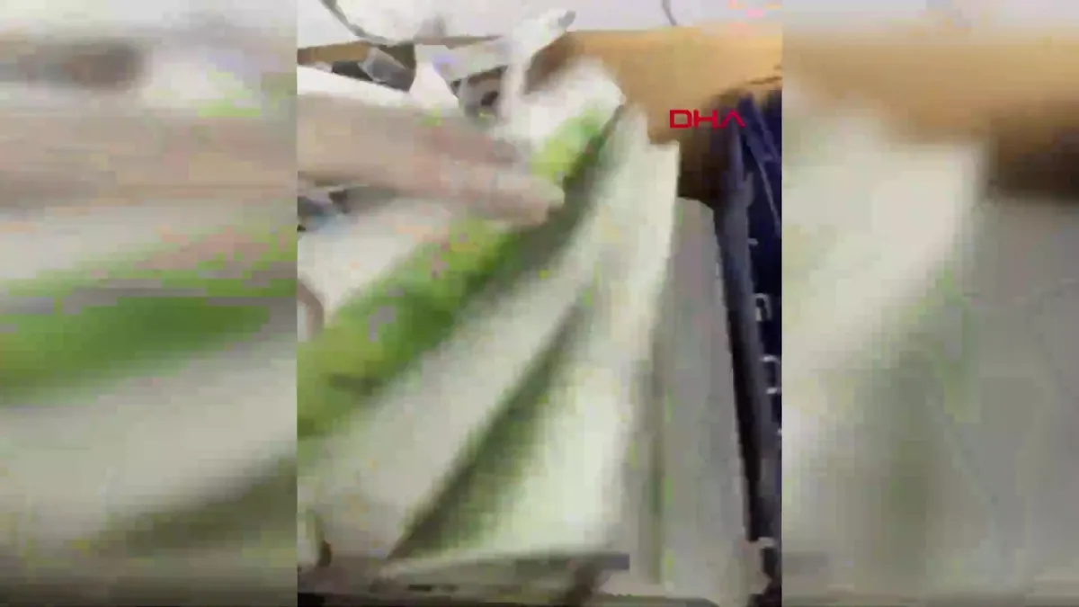 İstanbul Esenler’de sahte para operasyonu: 3 gözaltı | Video videosunu izle İstanbul Esenler’de sahte para operasyonu: 3 gözaltı | Video videosunu izle