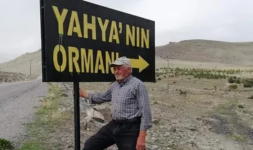 Fidan dikme aşkıyla 12 saat ormanda