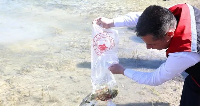 Nevşehir’de 856 bin yavru sazan doğayla buluşturuldu