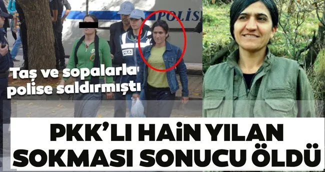 avesta firaz herekol kod
