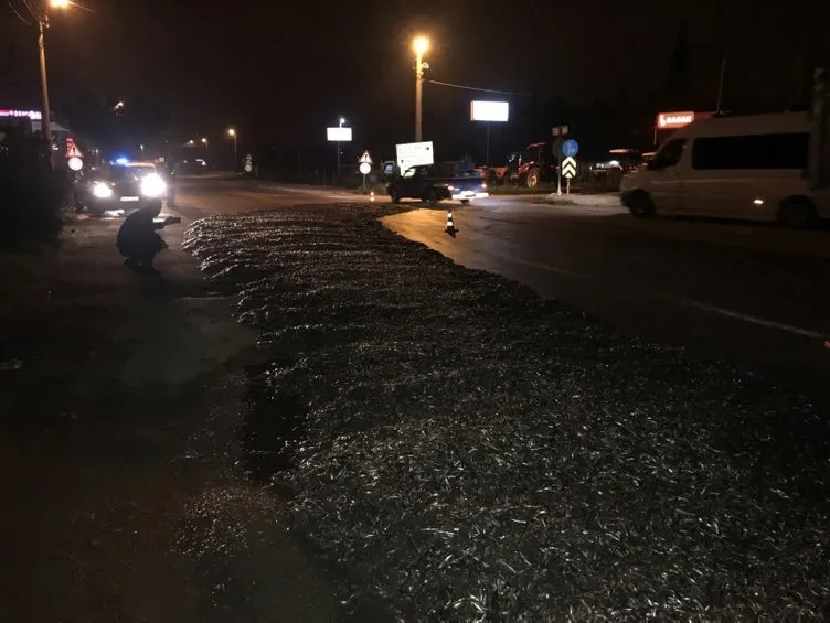 TIR'ın dorsesinin kapaÄı açıldı tonlarca hamsi yola döküldü