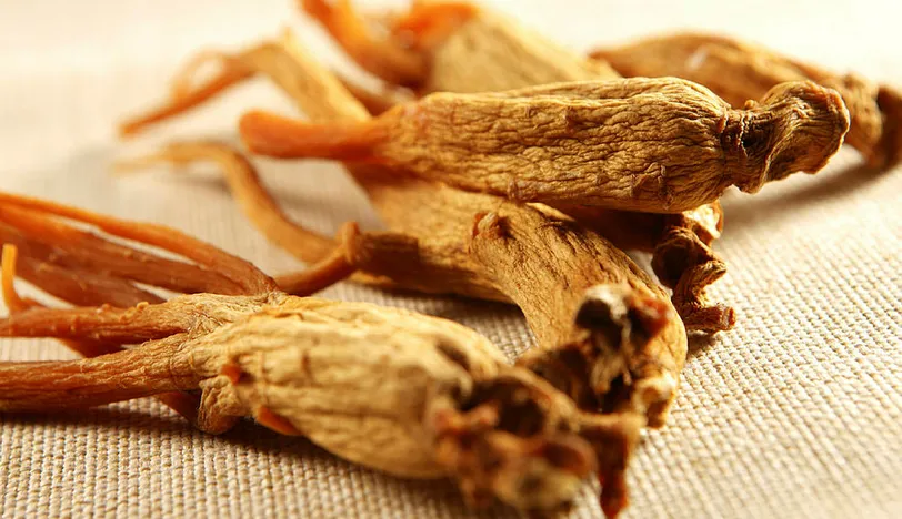 Ginseng