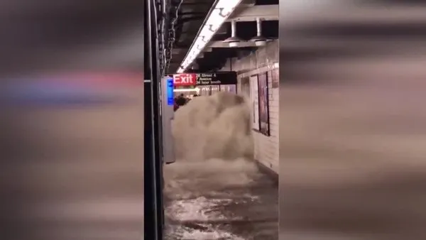ABD New York'ta korku dolu anlar! New York metrosunu su bastı... Havuz keyfi yapan fareler alay konusu oldu
