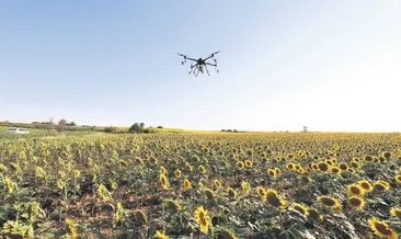 Tırtıl gitsin arı yaşasın