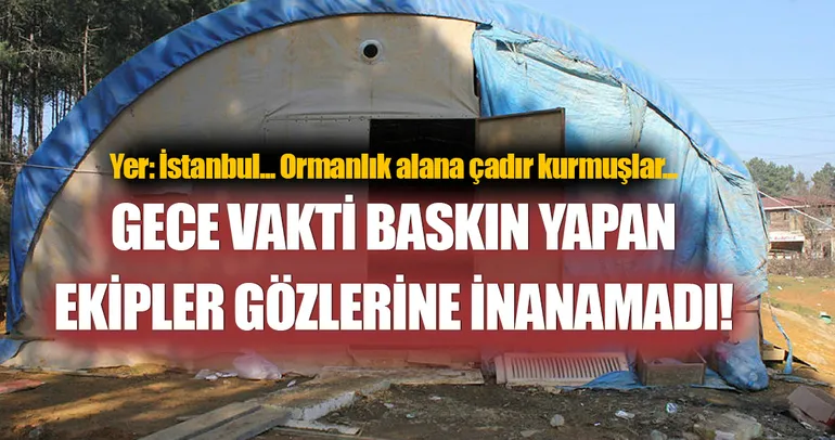 Ormanda kurulan kumar çadırına baskın