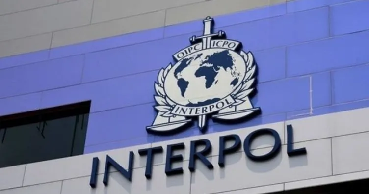 Interpol tarafından aranan DEAŞ üyeleri yakalandı