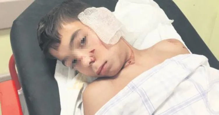 Öğrenciye köpek sürüsü saldırdı