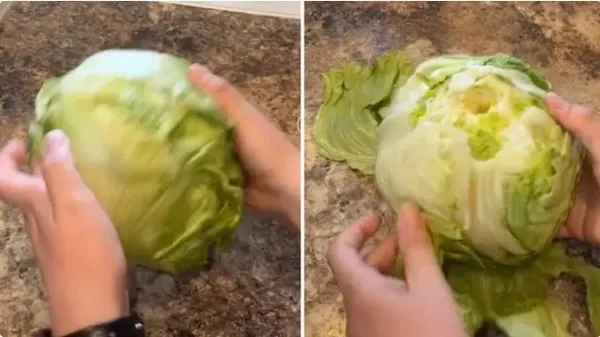 bicak-degdirmek-vitaminini-olduruyor-iste-marulu-bicaksiz-kesmenin-basit-yontemi-1654167347053.jpeg