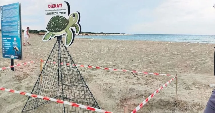 Caretta’ya dokunan 700 bin TL ödeyecek