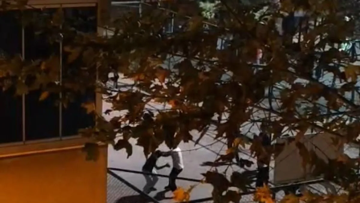 Sultangazi’de akılalmaz olay kamerada: Kavgayı ayırmak yerine tezahürat yaptılar! Sultangazi’de akılalmaz olay kamerada: Kavgayı ayırmak yerine tezahürat yaptılar!