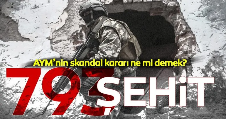 AYM’nin koruduğu akademisyenlerin bildiri şemsiyesi açtığı PKK’lılar 793 evladımızı şehit etti!