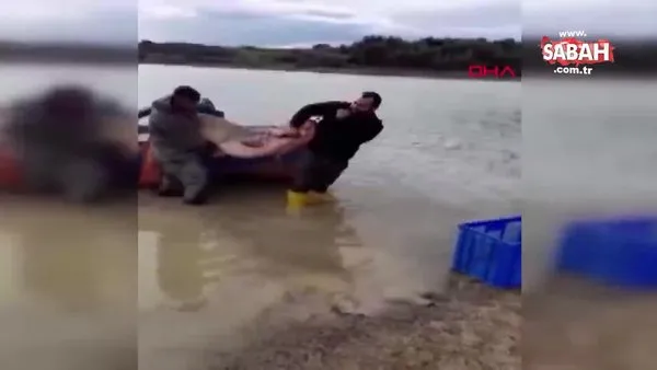 Seyhan Baraj Gölü'nde dev yayın balığı yakaladılar | Video