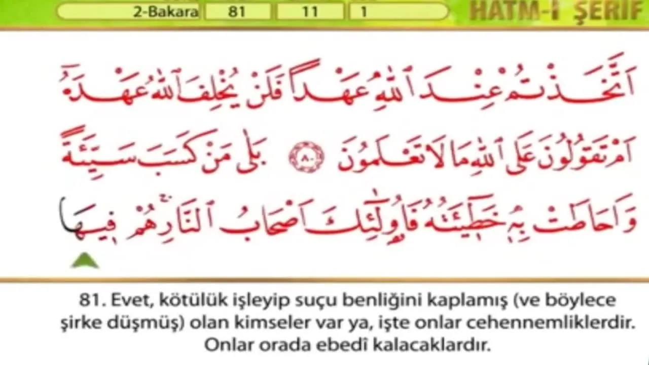 yasin suresi arapca okunusu tecvidli dinle yasin suresi turkce meali anlami oku video videosunu izle son dakika haberleri