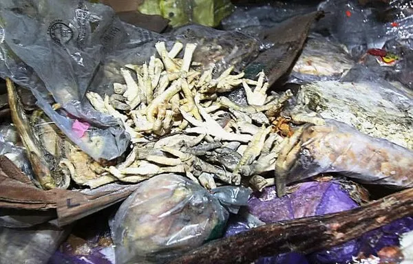 Yapmadıkları bir bu kalmıştı!
