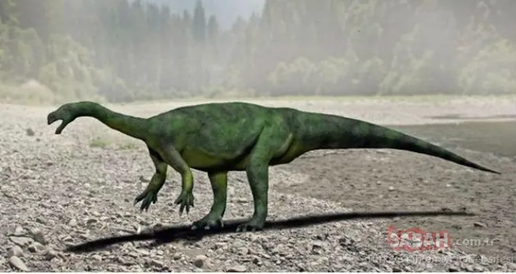 Dinozorları yeryüzünden silmişti! Bilim insanları ilk kez ortaya çıkardı