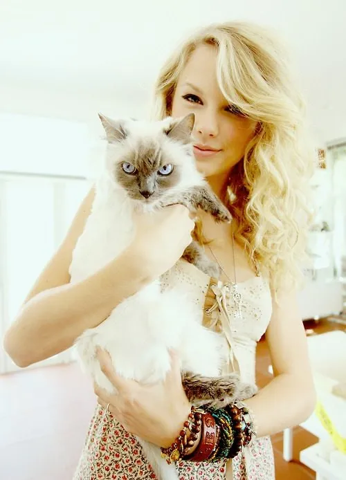 Taylor Swift’in kedi tutkusu