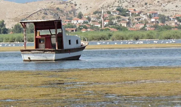bafa-golunde-kus-gozlem-turizmi-gelistirilmeli-1636970489337.jpg