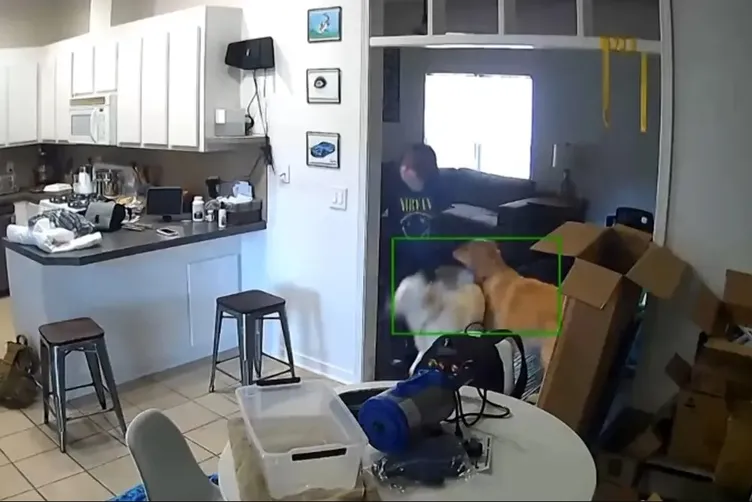 ABD’yi sarsan cinayet: Küçük kız sırrı ortaya çıkmasın diye annesini vahşice öldürdü!