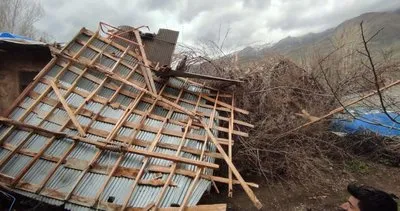Van’da şiddetli fırtına ağaçları kökünden söktü #van