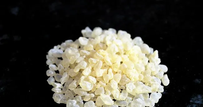 Damla Sakızı Faydaları Nelerdir? Damla Sakızı Yararlı Mıdır?