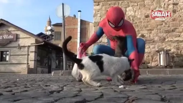 'Örümcek Adam' sokak hayvanlarının kahramanı oldu, görenler şaşkınlığını gizleyemedi | Video