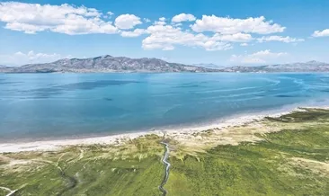 Van Gölü yapay zeka ile korunacak