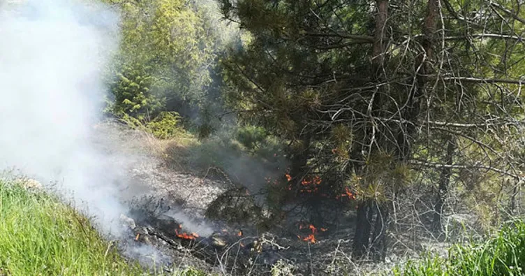 Pazarlar’da orman yangını